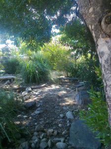 Biodiversity in early childhood spaces